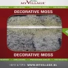 Merkloos Kerststukjes>4 Stuks Rendiermos Naturel 50 G
