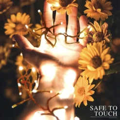 Aigostar Led Lichtsnoer - Lichtslinger - Led Lampjes Slinger - 4.5 Watt - 250 Leds - 10M - Ip44 Flash Sale