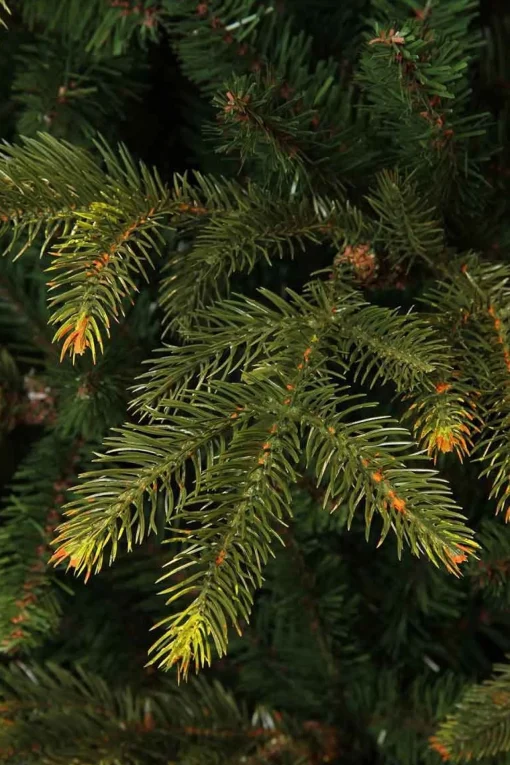 Black Box Frasier Fir Kunstkerstboom - 230 X 147 - Groen Store
