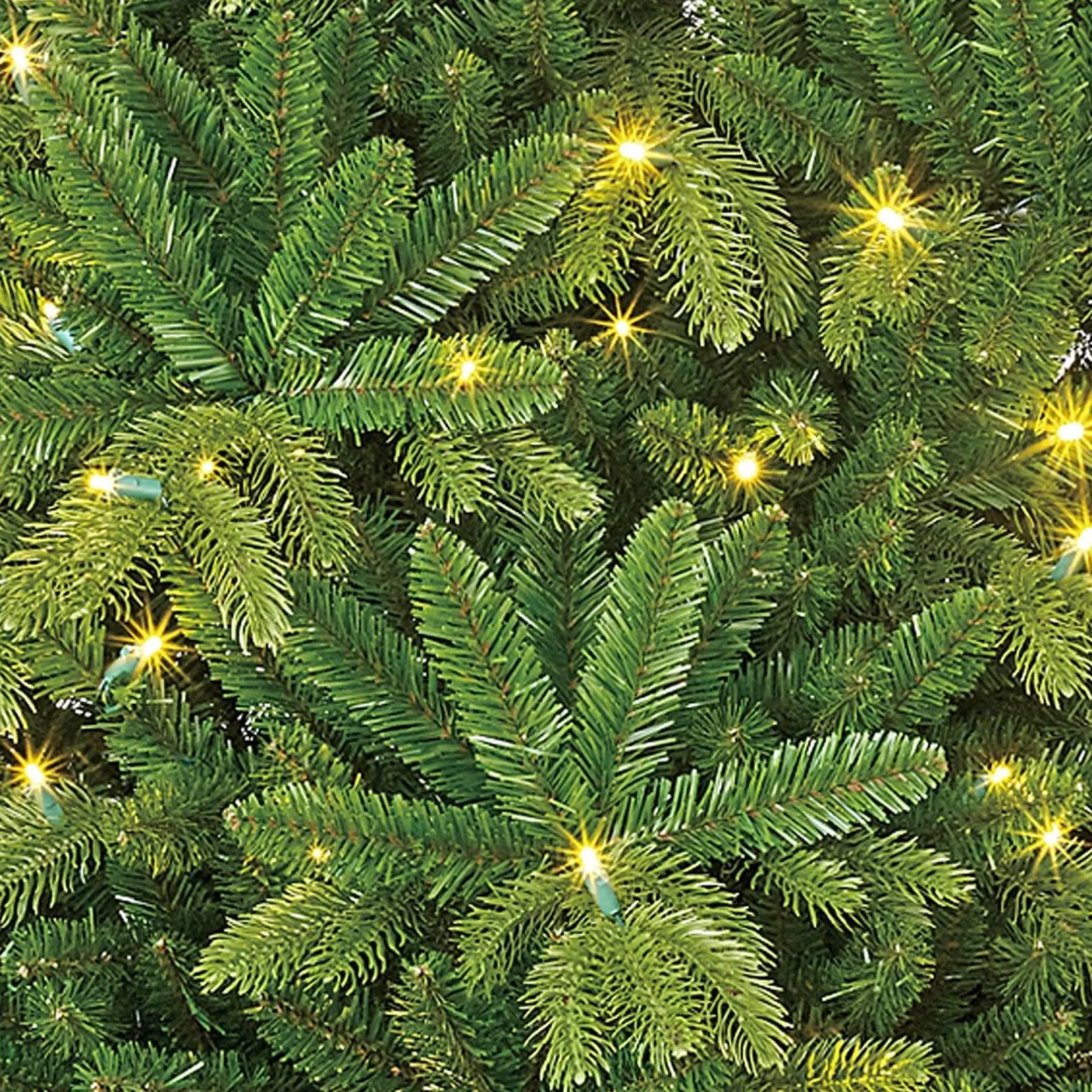 Black Box Trees Brampton Kunstkerstboom Slim Met Led Verlichting - H155 X O102 Cm - Groen New