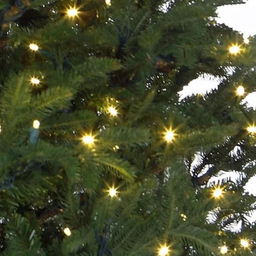 Black Box Trees Frasier Kunstkerstboom Met Led Verlichting - H185 Cm - Groen Cheap
