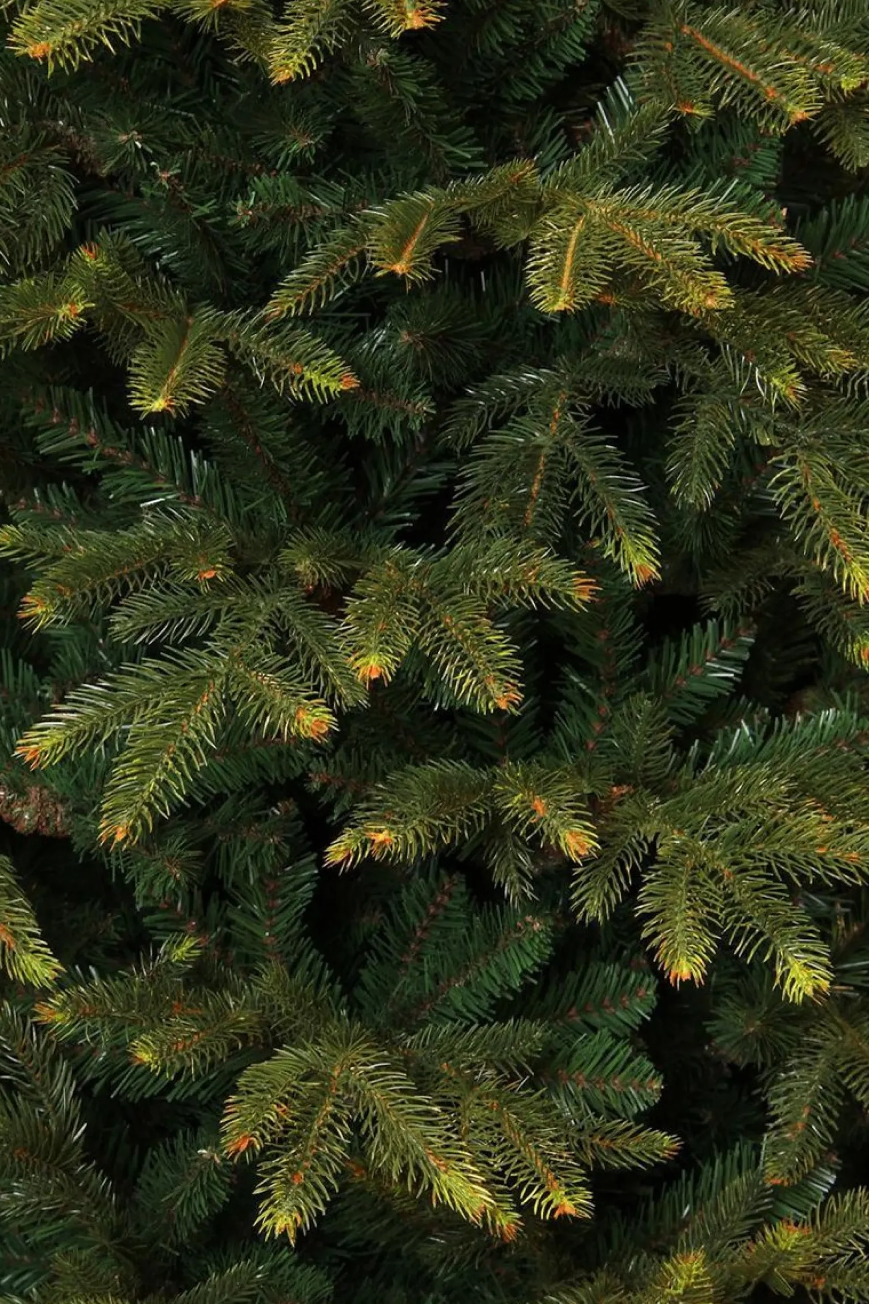 Black Box Trees Frasier Kunstkerstboom - H185 X O124 Cm - Groen Best