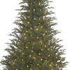 Black Box Trees Frasier Kunstkerstboom Met Led Verlichting - H215 Cm - Groen Cheap