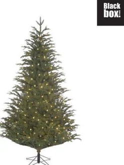 Black Box Trees Frasier Kunstkerstboom Met Led Verlichting - H215 Cm - Groen Cheap