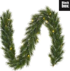 Black Box Guirlandes></noscript> Trees Glendon Guirlande Met Led Verlichting - L1000 Cm - Groen