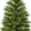 Black Box Trees Glendon Kunstkerstboom In Pot Met 20 Led Lampjes - H60 X O33 Cm - Groen Clearance