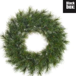 Black Box Kerstkransen><noscript><img width=