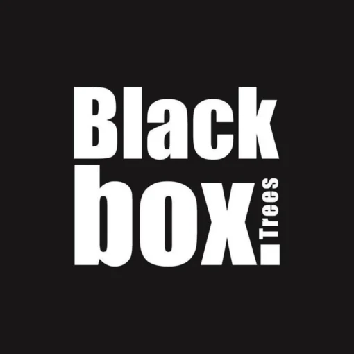 Black Box Kerstkransen> Trees Glendon Kerstkrans Met Led Verlichting - O60 Cm - Groen