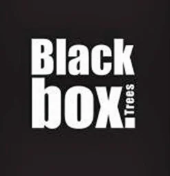 Black Box Trees Macallan Kunstkerstboom - H155 Cm Clearance