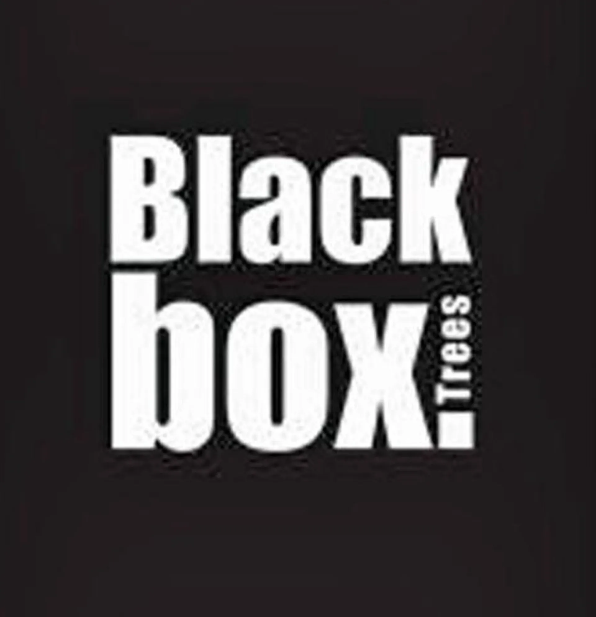 Black Box Trees Macallan Kunstkerstboom - H155 Cm Clearance