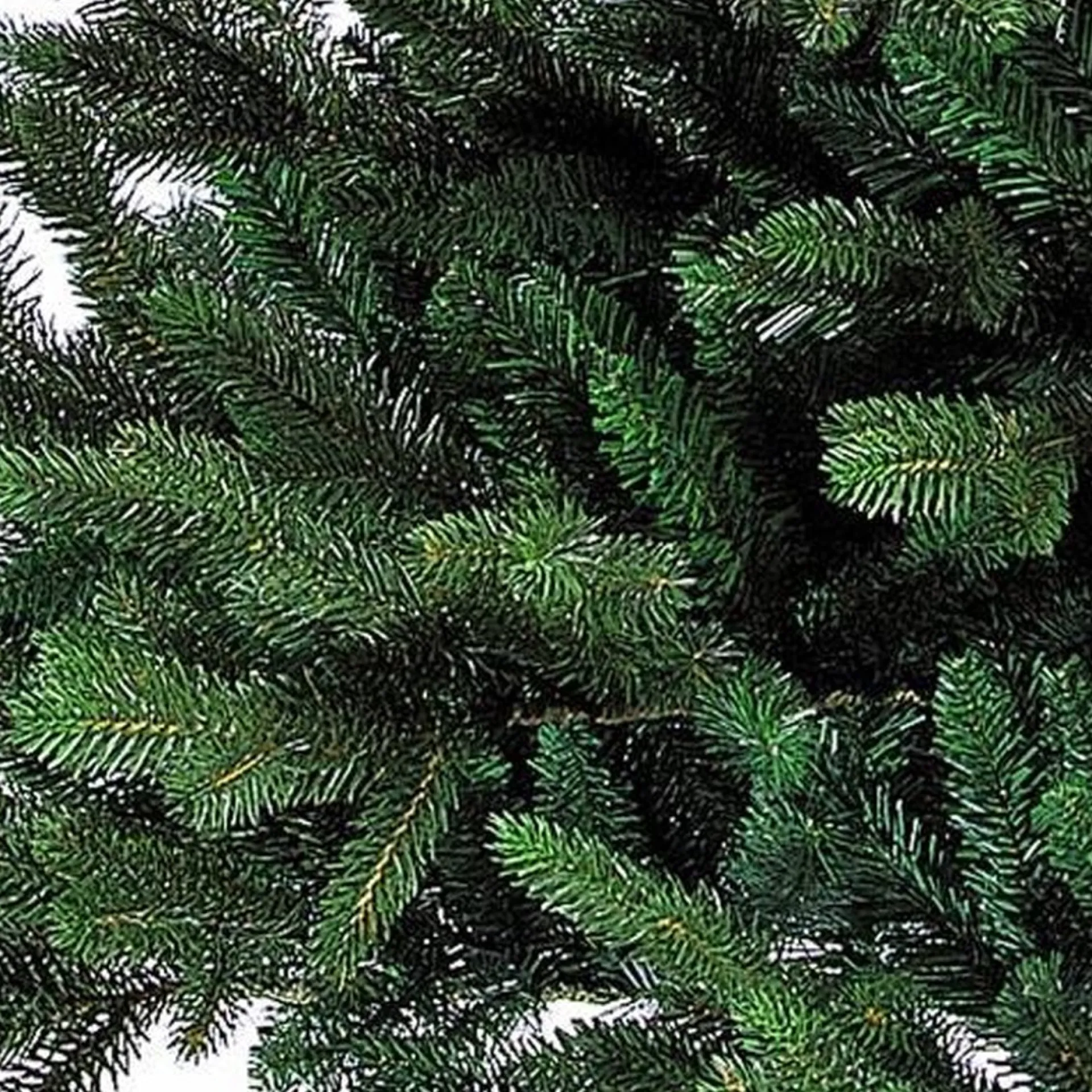 Black Box Trees Macallan Kunstkerstboom - H155 Cm Clearance