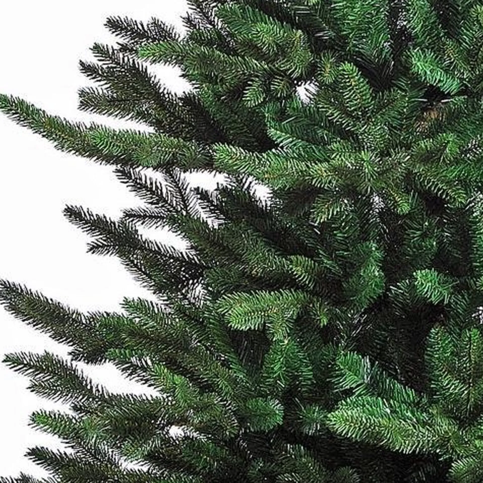 Black Box Trees Macallan Kunstkerstboom - H155 Cm Clearance