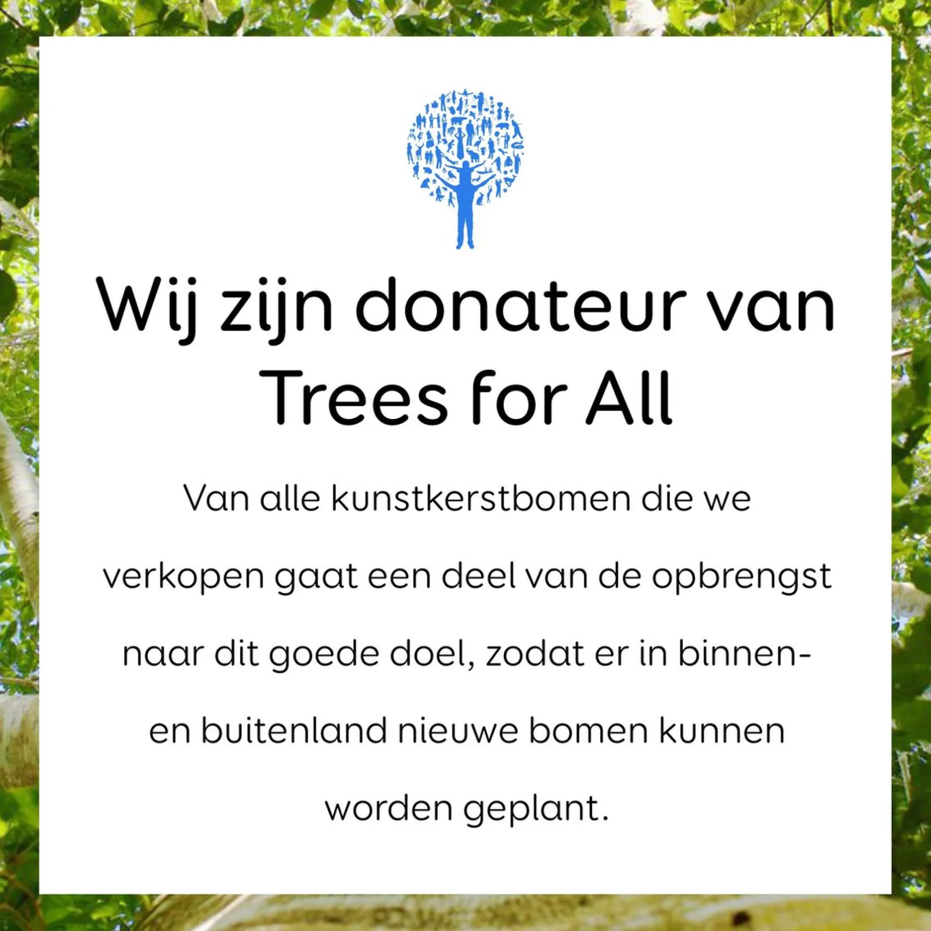 Black Box Trees Macallan Kunstkerstboom - H155 Cm Clearance