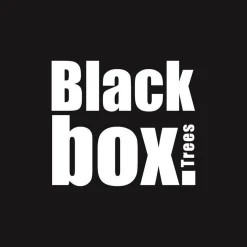 Black Box Trees Macallan Kunstkerstboom - H155 Cm Clearance