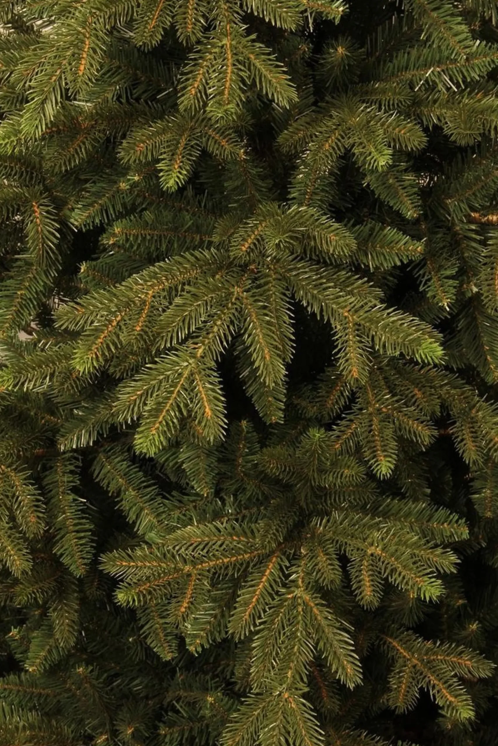 Black Box Trees Macallan Kunstkerstboom - H155 Cm Clearance