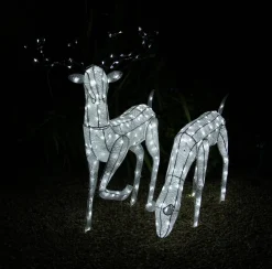 MonsterShop Bundel: Lichtgevend Rendier En Hert - Verlichte Kerstfiguren - 12 Meter Lange Stroomsnoeren - Gratis Bevestiginskits Flash Sale