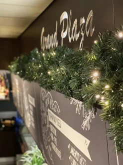 Royal Christmas Guirlandes></noscript>Dakota Deluxe Guirlande - Lengte 540 Cm - 200 Warm Led Lampjes - Max. 3X Koppelbaar