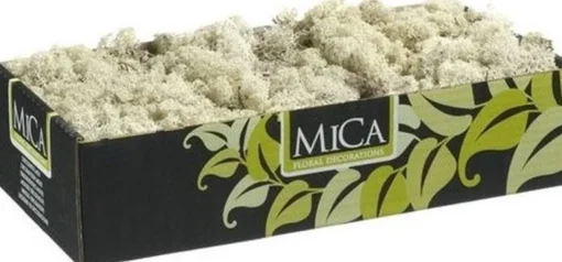 Mica Decorations Kerststukjes>Decoratie/Hobby Mos Naturel/Wit 500 Gram - Decoratie Materialen Bloemstukjes