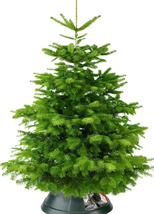 Elho Nordman 52 - Kerstboomstandaard Voor Binnen - O 52.0 X H 20.0 Cm - Groen/Groen Outlet