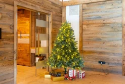 Evergreen - Kunstkerstboom - Pgtg60P3D95L03 Cheap