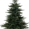 Everlands Grandis Fir Kunstkerstboom 120 Cm Online