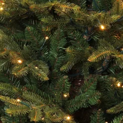Black Box Frasier Fir Led - Groen - Blackbox Kunstkerstboom 155 Cm Shop