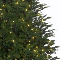 Black Box Frasier Fir Led - Groen - Blackbox Kunstkerstboom 155 Cm Shop