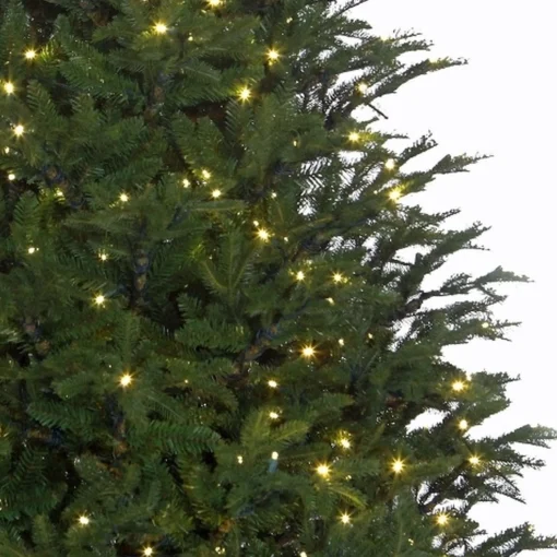 Black Box Frasier Fir Led - Groen - Blackbox Kunstkerstboom 155 Cm Shop