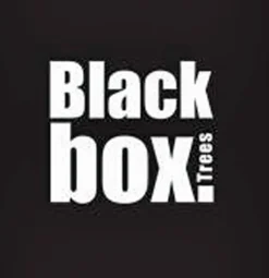 Black Box Frasier Fir Led - Groen - Blackbox Kunstkerstboom 155 Cm Shop