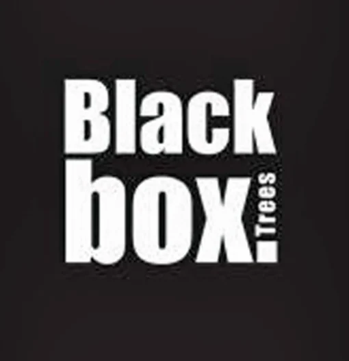 Black Box Frasier Fir Led - Groen - Blackbox Kunstkerstboom 155 Cm Shop