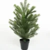 Everlands Grandis Miniboom Pot H75Cm Groen Fashion