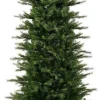 Merkloos Grandis Slim Fir 1149Tips Green Fashion
