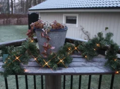 Star Trading Guirlandes><noscript><img width=