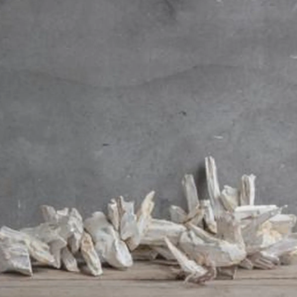 Damn Guirlandes>Guirlande Drijfhout 80 Cm Wit