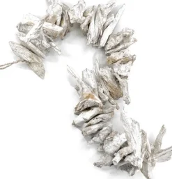 Damn Guirlandes><noscript><img width=