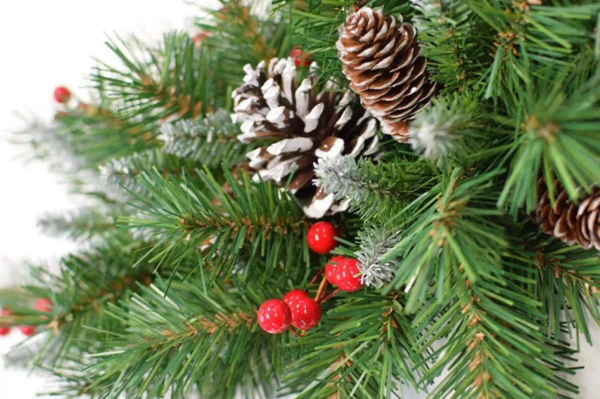 National Tree Company Guirlandes>Guirlande "Frosted Berry" - Groen - L274 X O25 Cm - Frosted Look - Met Rode Bessen & Dennenappels