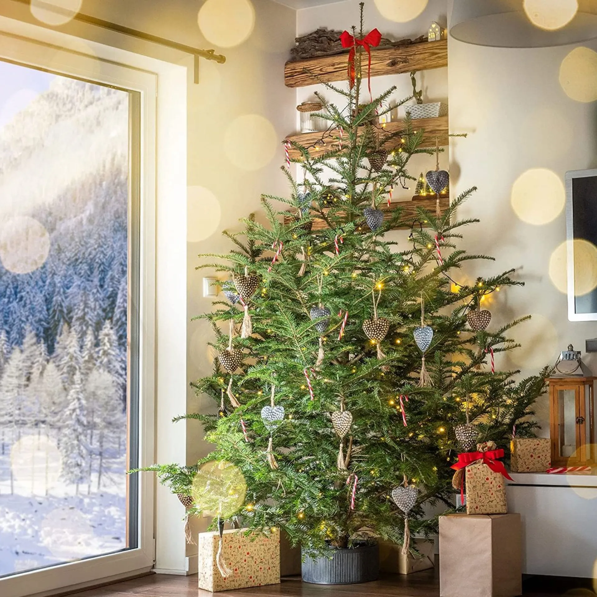 KADAX Kerstboomstandaard, Kerstboomstandaard Van Gerecyclede Kunststof, Dennenboomstandaard Voor Een Echte Boom, Standaard Voor Een Kerstboom (Boomhoogte Tot 250 Cm/Grafiet) Hot