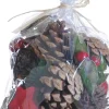 Naturn Christmas Kerststukjes>Kerst Diy Knutselen Pakket Van | 9 X 9 X 16 Cm | Duurzame Kerstdecoratie Set | Kerstpakket Decoratie | Rood