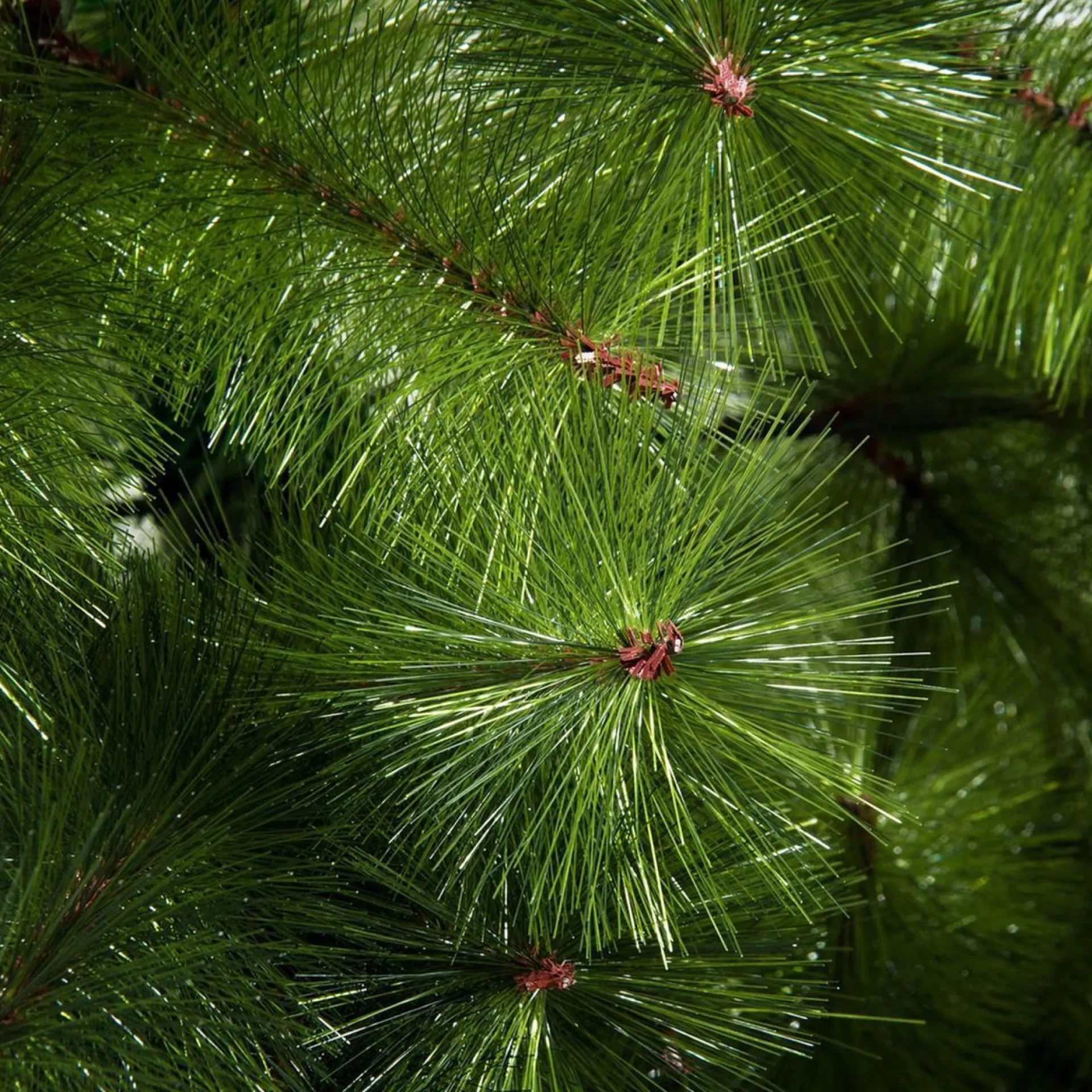 ChristmasGoodz Kerstboom - Kunstkerstboom - Kunstkerstboom 210 Cm - H 210 X B 90 Cm New