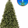 National Tree Company Kerstboom Bayberry Poly - 213 Cm - 550Led's - Inclusief Verlichting Online