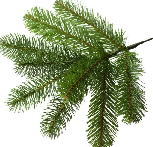 National Tree Company Kerstboom Bayberry Poly - 213 Cm - 550Led's - Inclusief Verlichting Online