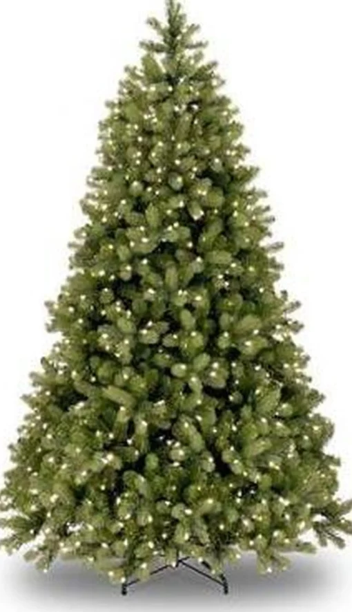National Tree Company Kerstboom Bayberry Poly - 213 Cm - 550Led's - Inclusief Verlichting Online