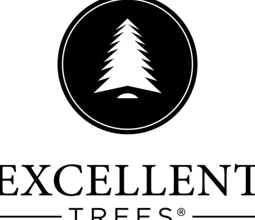 Excellent Trees Kerstboom ® Stavanger Silver 210 Cm - Luxe Uitvoering Discount