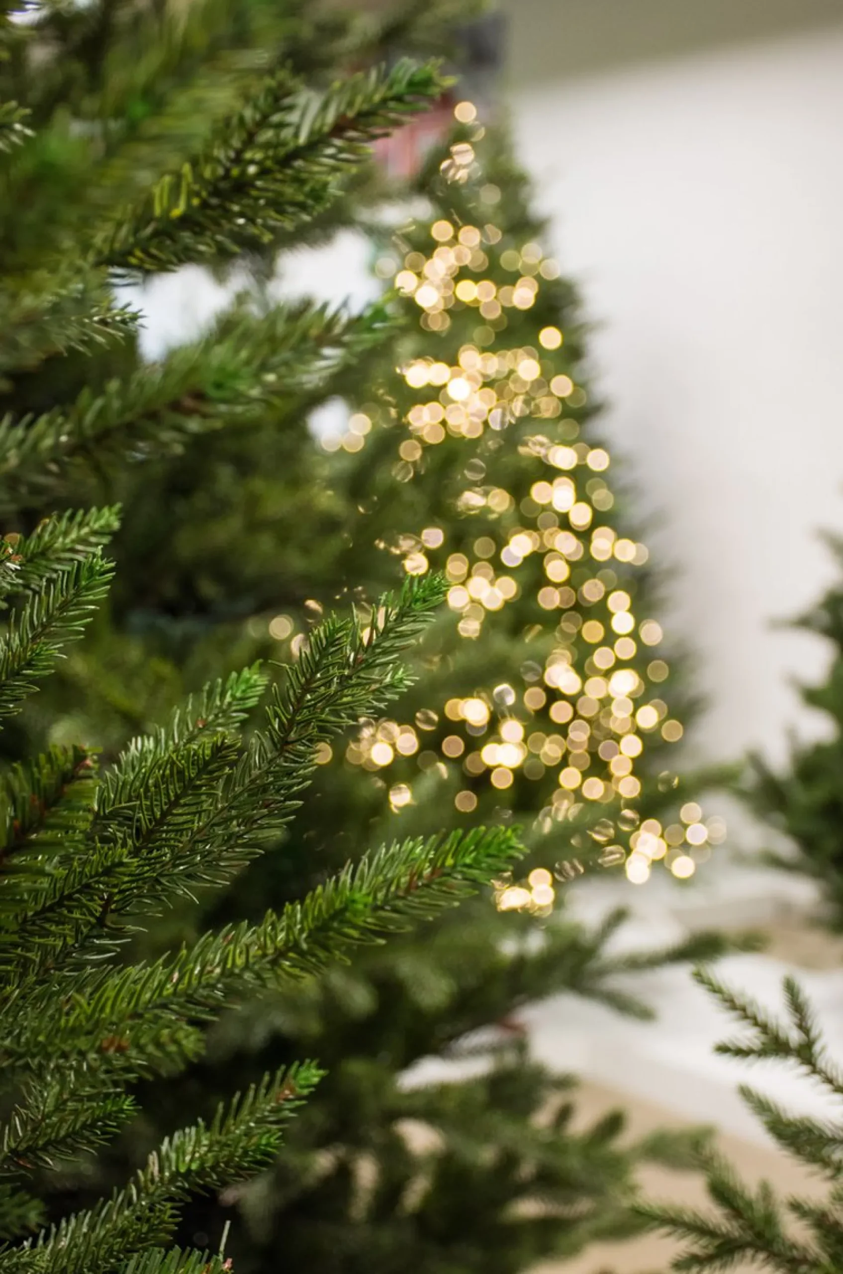 Kerstsfeerdirect - Kunstkerstboom Arkansas - 155 Cm Shop