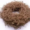 Merkloos Kerstkransen>Krans - Asparagus Wax - Copper-40Cm