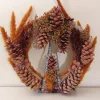Juuls Gift Shop (merkloos) Kerstkransen>Krans Met Pluimen En Prachtige Dennenappels Droogbloemen Diameter 50Cm