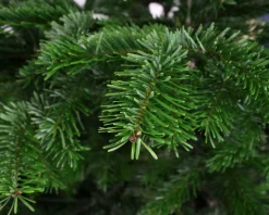 Merkloos Kunstkerstboom - 210 Cm - Kunststof - 1382 Takken Fashion