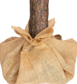 Viking Choice Kunstkerstboom - 180 Cm - Met Houten Stam - Sneeuw En Dennenappels Discount