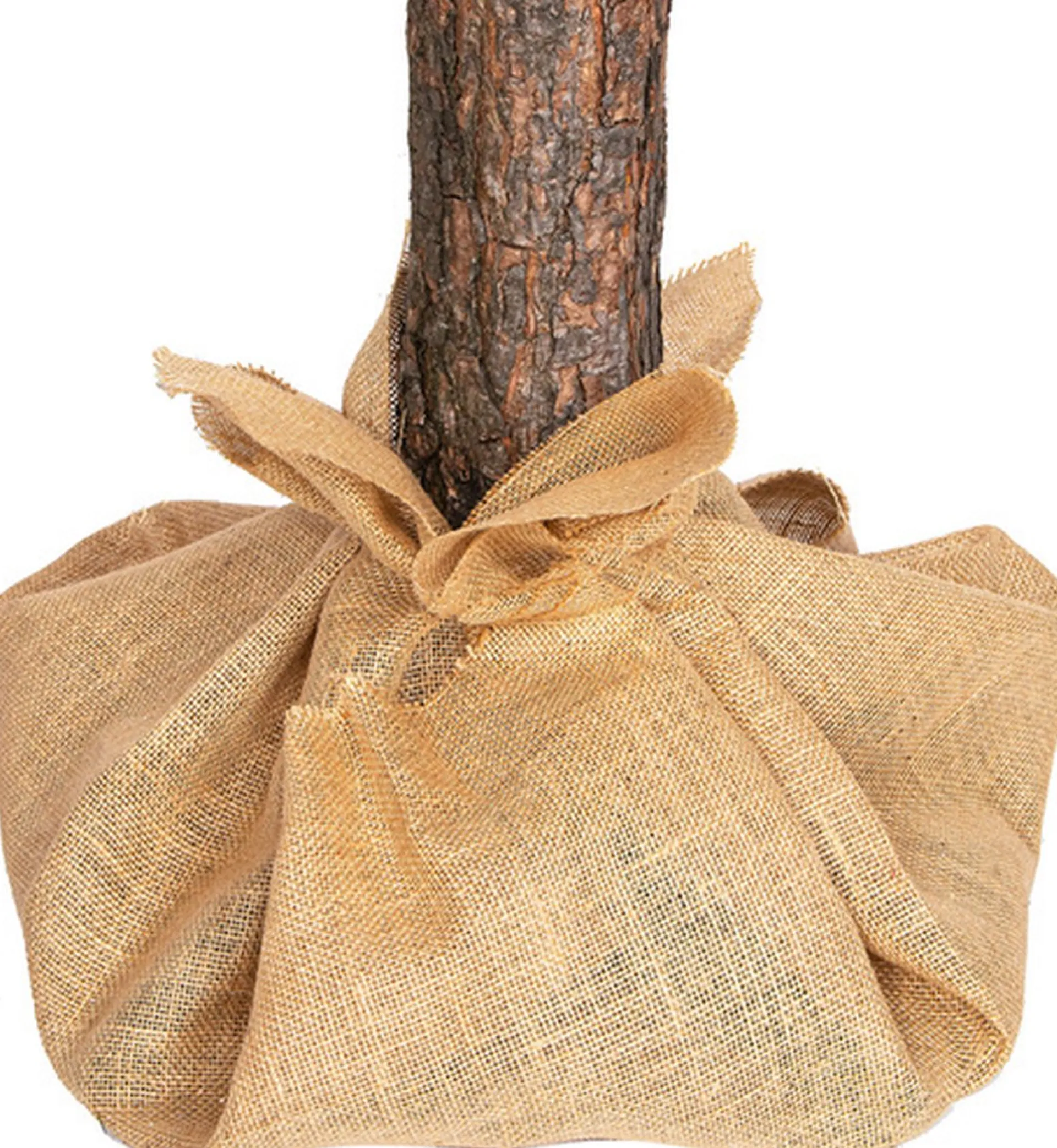 Viking Choice Kunstkerstboom - 180 Cm - Met Houten Stam - Sneeuw En Dennenappels Discount