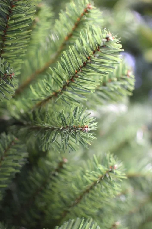 Van der gucht Kunstkerstboom Boston Spruce Hinged - 210 Cm - Groen Cheap
